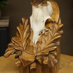 Chevreuil mâle, bois de chevreuil, bois de chevreuil mâle sur un panneau de trophée sculpté 604.175