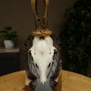 Roebuck Antlers Roebuck Antlers on a Carved Trophy Shield 604.176