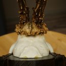 Roebuck Antlers Roebuck Antlers on a Carved Trophy Shield 604.176