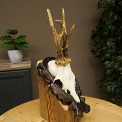 Roebuck Antlers Roebuck Antlers on a Carved Trophy Shield 604.176