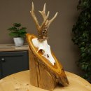 Ciervo macho, cuernos de ciervo, cuernos de ciervo macho en placa de madera para árbol, placa 604.178