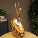 Deer Antlers, Roe Deer Antlers, Roe Buck on Birch Wood Sign 605.132