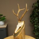 Roe Deer Antlers, Weight 255g, Roe Buck Antlers on Acacia...