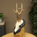 Corna di capriolo, corna di capriolo, trofeo di capriolo maschio su targa intagliata 606.153