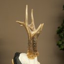 Corna di capriolo, corna di capriolo, trofeo di capriolo maschio su targa intagliata 606.153