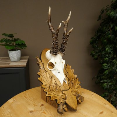 Bois de chevreuil, bois de biche, bois de mâle, bois de chevreuil sur un socle sculpté 609.103