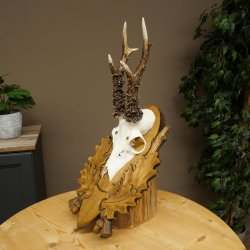 Bois de chevreuil, bois de biche, bois de mâle, bois de chevreuil sur un socle sculpté 609.103