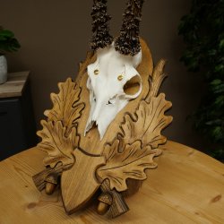 Bois de chevreuil, bois de biche, bois de mâle, bois de chevreuil sur un socle sculpté 609.103
