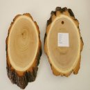 Akazien Schilder 5 er Set Reh Bock Trophäenschilder AF 19 cm Rehbock Schild Baumschild