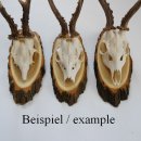 Akazien Schilder 5 er Set Reh Bock Trophäenschilder AF 19 cm Rehbock Schild Baumschild