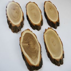 Akazien Schilder 5 er Set Reh Bock Trophäenschilder AF 19 cm Rehbock Schild Baumschild