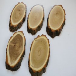 Akazien Schilder 5 er Set Reh Bock Trophäenschilder AF 19 cm Rehbock Schild Baumschild