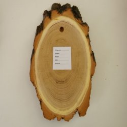 Akazien Schilder 5 er Set Reh Bock Trophäenschilder AF 19 cm Rehbock Schild Baumschild