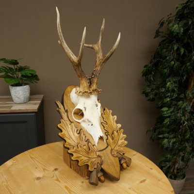 Roe Deer Antlers, Weight 310g, Roe Deer Antlers, Buck, Carved Trophy Shield 609.105