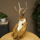 Roe Deer Antlers, Weight 310g, Roe Deer Antlers, Buck, Carved Trophy Shield 609.105