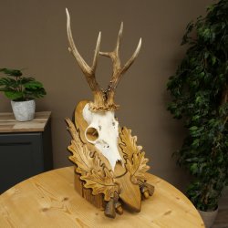 Roe Deer Antlers, Weight 310g, Roe Deer Antlers, Buck, Carved Trophy Shield 609.105