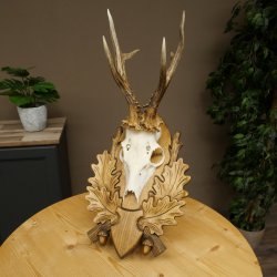 Roe Deer Antlers, Weight 310g, Roe Deer Antlers, Buck, Carved Trophy Shield 609.105