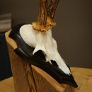 Reebok Reebok Gewei Reegewei op trofeeplaat 603.255