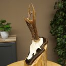 Reebok Reebok Gewei Reegewei op trofeeschild 603.260