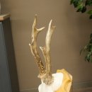 Reehoorn Reehoorns Hoorns Reestangen Stangen Trofeeschild 602.395