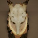 Altezza delle corna di daino: 33 cm. Corna di daino su base di legno di betulla 72.557