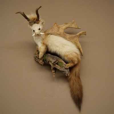 Martilla Wolpertinger con dientes en forma de cuernos de corzo, cuernos de gamo y peinado punk. Especimen disecado de Wolpi. Altura: 56 cm