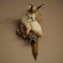 Martilla Wolpertinger con dientes en forma de cuernos de...