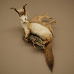 Martilla Wolpertinger con dientes en forma de cuernos de corzo, cuernos de gamo y peinado punk. Especimen disecado de Wolpi. Altura: 56 cm