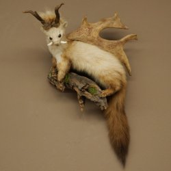 Martilla Wolpertinger con dientes en forma de cuernos de corzo, cuernos de gamo y peinado punk. Especimen disecado de Wolpi. Altura: 56 cm