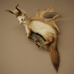 Martilla Wolpertinger con dientes en forma de cuernos de corzo, cuernos de gamo y peinado punk. Especimen disecado de Wolpi. Altura: 56 cm