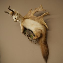 Martilla Wolpertinger con dientes en forma de cuernos de corzo, cuernos de gamo y peinado punk. Especimen disecado de Wolpi. Altura: 56 cm
