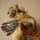 Wolpertinger: criatura mítica, martilla con cuernos de corzo, alas y peinado punk. Modelo «Wolpi». Altura: 59 cm