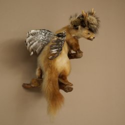 Wolpertinger: criatura mítica, martilla con cuernos de corzo, alas y peinado punk. Modelo «Wolpi». Altura: 59 cm