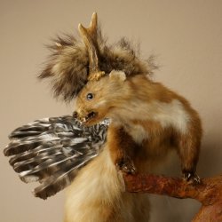 Wolpertinger: criatura mítica, martilla con cuernos de corzo, alas y peinado punk. Modelo «Wolpi». Altura: 59 cm