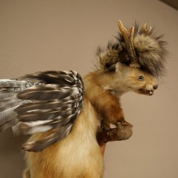 Wolpertinger: criatura mítica, martilla con cuernos de corzo, alas y peinado punk. Modelo «Wolpi». Altura: 59 cm