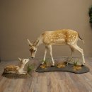 Damhert, hert, hertin met kalf, reekalf, opgezette dierfiguur in liggende houding, hoogte 80 cm, opgezette dierfiguur