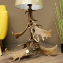 Floor lamp made from 6 fallow deer antlers, 1-light, fallow deer antler lamp, lampshade