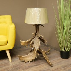 Floor lamp made from 6 fallow deer antlers, 1-light, fallow deer antler lamp, lampshade