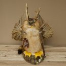 Wolpertinger "Wolpi" Large Muskrat Taxidermy...