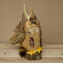 Wolpertinger "Wolpi" Large Muskrat Taxidermy...
