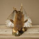 Wolpertinger "Wolpi" Large Muskrat Taxidermy Specimen with Green Eyes, Wings, Antlers, Cane, and Lantern; Height 38 cm; Mythical Creature; Fun Gift; 86.14.14