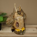Wolpertinger "Wolpi" Large Muskrat Taxidermy Specimen with Green Eyes, Wings, Antlers, Cane, and Lantern; Height 38 cm; Mythical Creature; Fun Gift; 86.14.14