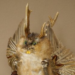 Wolpertinger "Wolpi" Large Muskrat Taxidermy Specimen with Green Eyes, Wings, Antlers, Cane, and Lantern; Height 38 cm; Mythical Creature; Fun Gift; 86.14.14