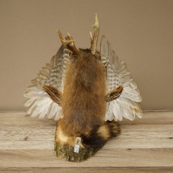 Wolpertinger "Wolpi" Large Muskrat Taxidermy Specimen with Green Eyes, Wings, Antlers, Cane, and Lantern; Height 38 cm; Mythical Creature; Fun Gift; 86.14.14