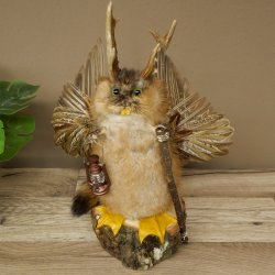Wolpertinger "Wolpi" Large Muskrat Taxidermy Specimen with Green Eyes, Wings, Antlers, Cane, and Lantern; Height 38 cm; Mythical Creature; Fun Gift; 86.14.14