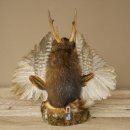 Wolpertinger "Wolpi" Large Muskrat Taxidermy Specimen with Yellow Eyes, Wings, Antlers, Cane, and Lantern; Height 37 cm; Mythical Creature; Fun Gift; 86.14.15