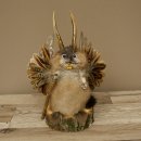 Wolpertinger Wolpi Musk Specimen with Stick, Deer...