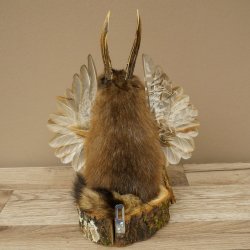 Wolpertinger Wolpi Musk Specimen with Stick, Deer Antlers, Purple Eyes, Mythical Creature 86.4.139