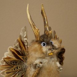 Wolpertinger Wolpi Musk Specimen with Stick, Deer Antlers, Purple Eyes, Mythical Creature 86.4.139