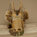 Wolpertinger Wolpi Musk Specimen with Stick, Deer...